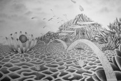 Petales-de-sable