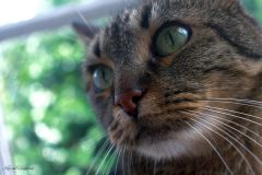 Marja - Dans l'instant